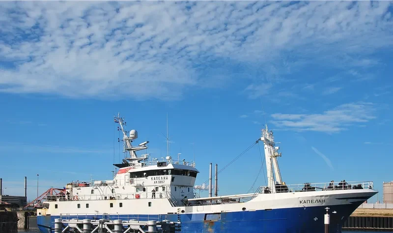 KAPELAN General Cargo IMO 9055280