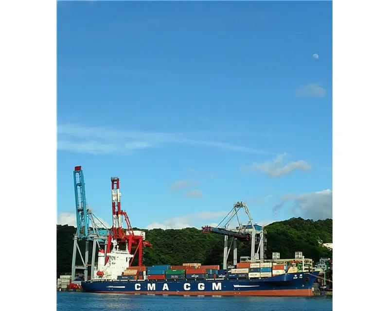 GSS YANGON Container Ship IMO 9055450 photo 4