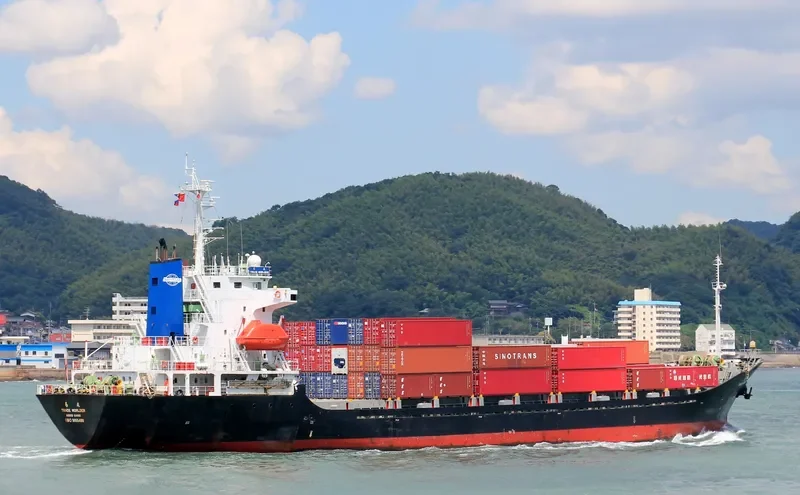 TANTO SUBUR I Container Ship IMO 9055498 photo 2
