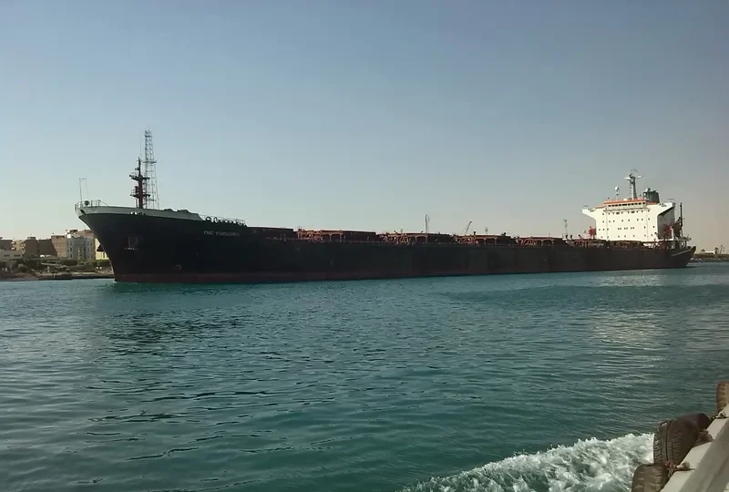 THE FORGIVER Bulk Carrier IMO 9055620
