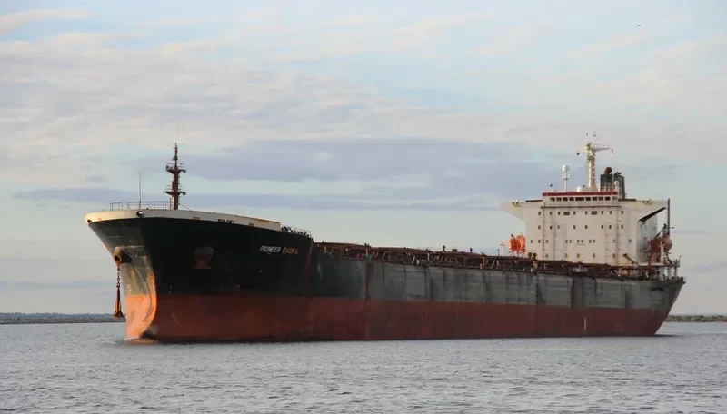 THE FORGIVER Bulk Carrier IMO 9055620 photo 2