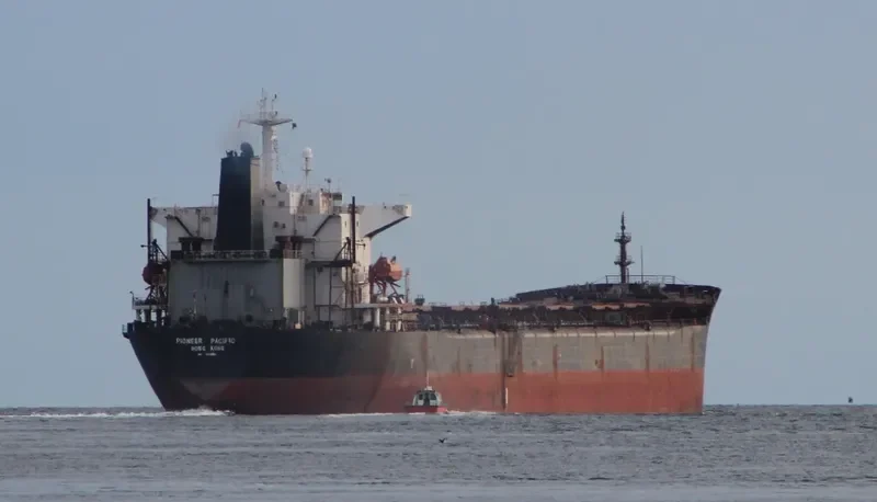 THE FORGIVER Bulk Carrier IMO 9055620 photo 3