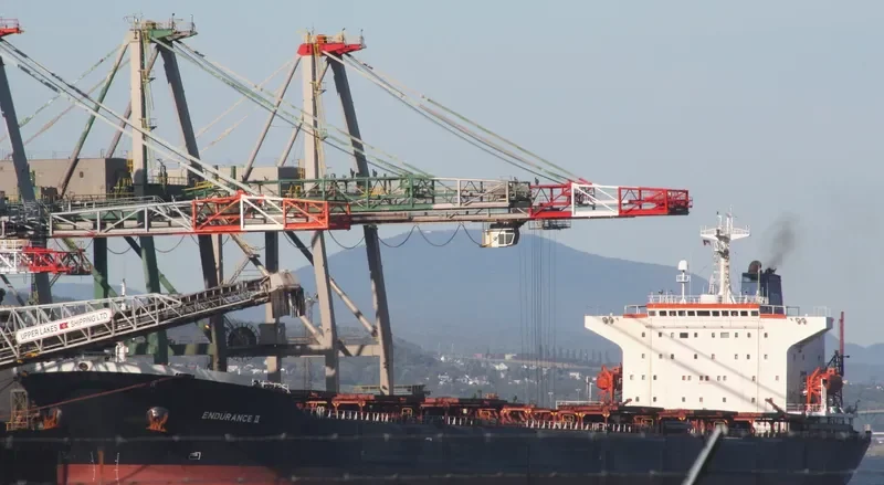 THE FORGIVER Bulk Carrier IMO 9055620 photo 4