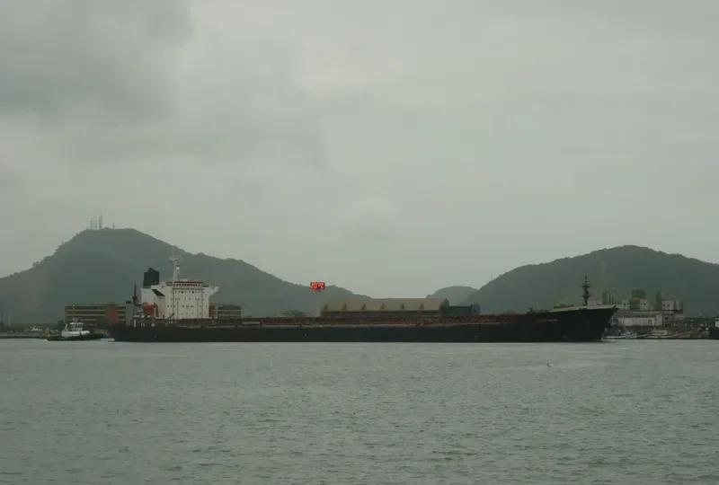 THE FORGIVER Bulk Carrier IMO 9055620 photo 5