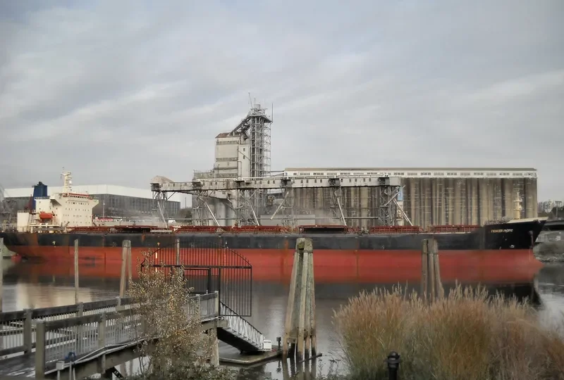 THE FORGIVER Bulk Carrier IMO 9055620 photo 6