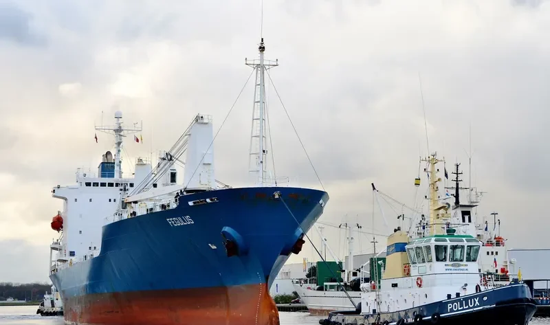 FEGULUS General Cargo IMO 9055709