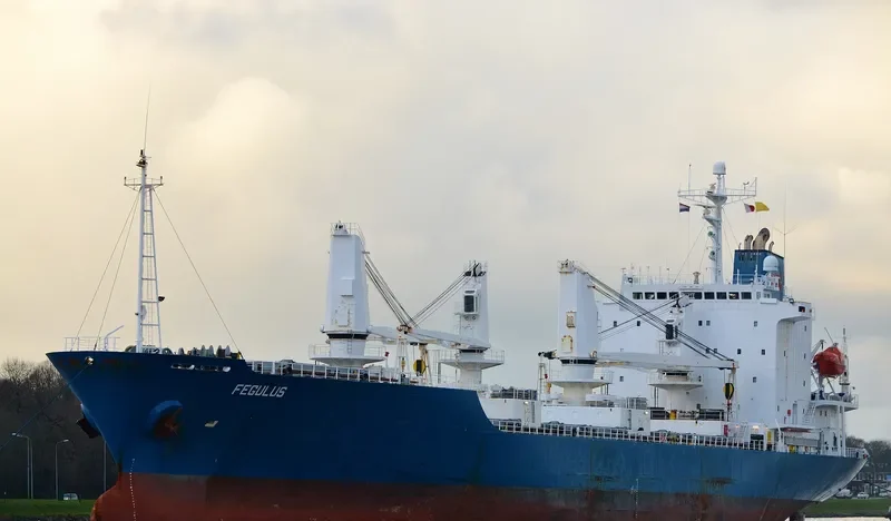 FEGULUS General Cargo IMO 9055709 photo 3