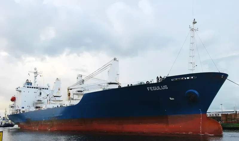 FEGULUS General Cargo IMO 9055709 photo 4