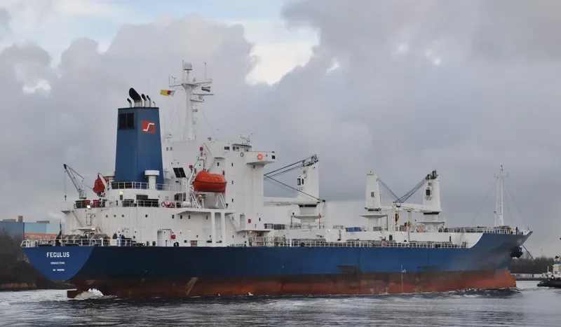 FEGULUS General Cargo IMO 9055709 photo 5