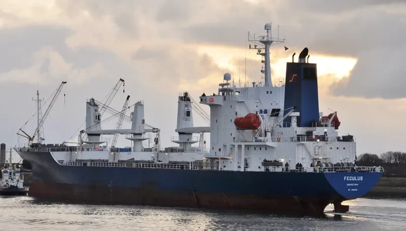 FEGULUS General Cargo IMO 9055709 photo 7