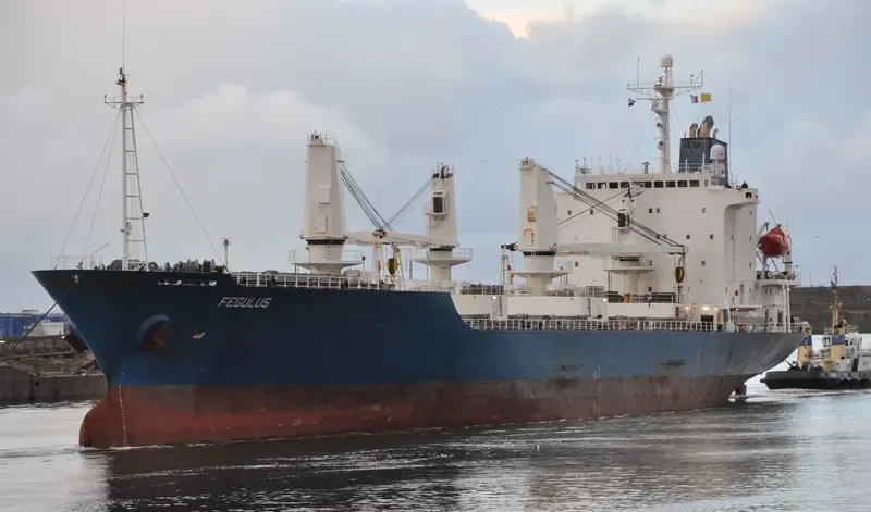 FEGULUS General Cargo IMO 9055709 photo 8