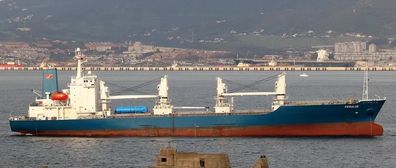 FEGULUS General Cargo IMO 9055709 photo 9