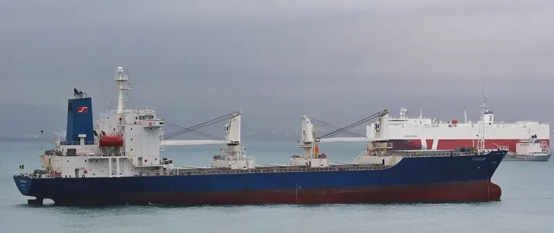 FEGULUS General Cargo IMO 9055709 photo 10