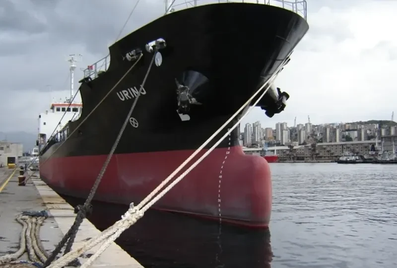 DETERMINATION Tanker IMO 9055711 photo 5