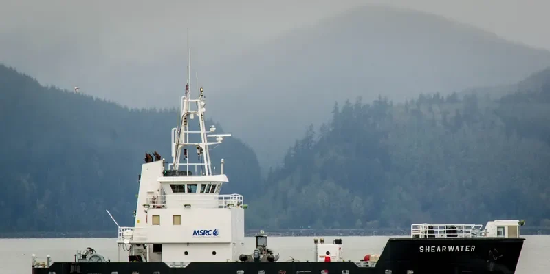 SHEARWATER General Cargo IMO 9055814 photo 3