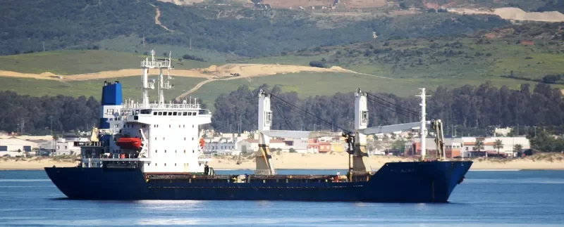 SUVARI H General Cargo IMO 9055931 photo 5