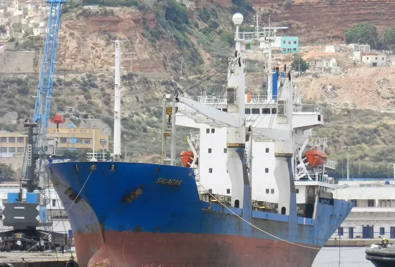 SUVARI H General Cargo IMO 9055931 photo 8
