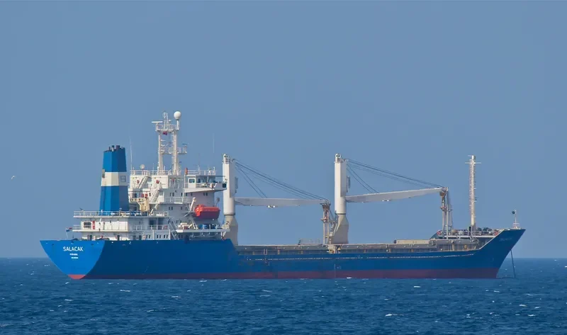 SUVARI H General Cargo IMO 9055931 photo 10