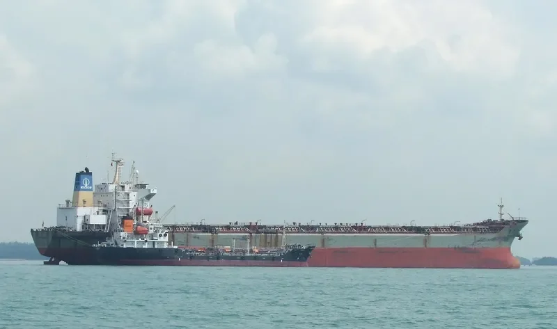 DENG ZHOU HAI Bulk Carrier IMO 9055979 photo 3