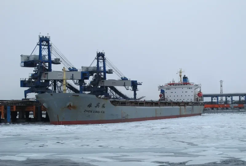 ZHEN XING HAI Bulk Carrier IMO 9056014