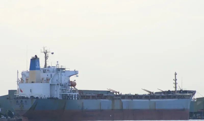 ZHEN XING HAI Bulk Carrier IMO 9056014 photo 2
