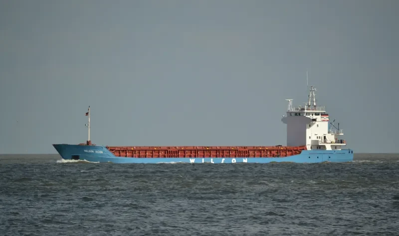 WILSON GIJON General Cargo IMO 9056038 photo 2