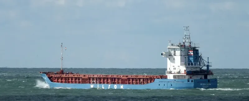 WILSON GIJON General Cargo IMO 9056038 photo 8