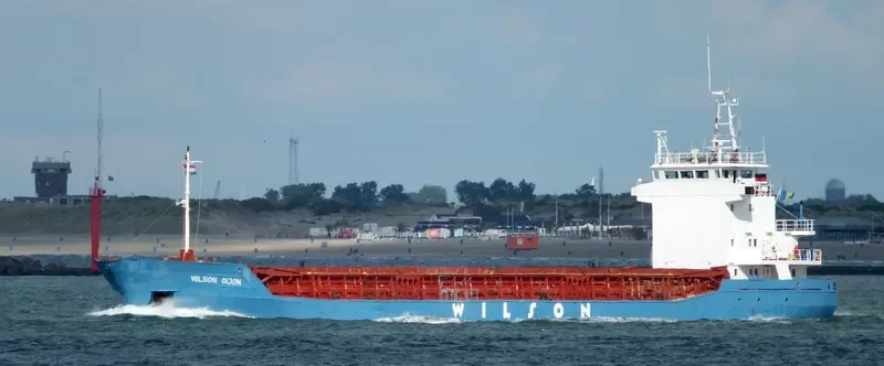 WILSON GIJON General Cargo IMO 9056038 photo 9