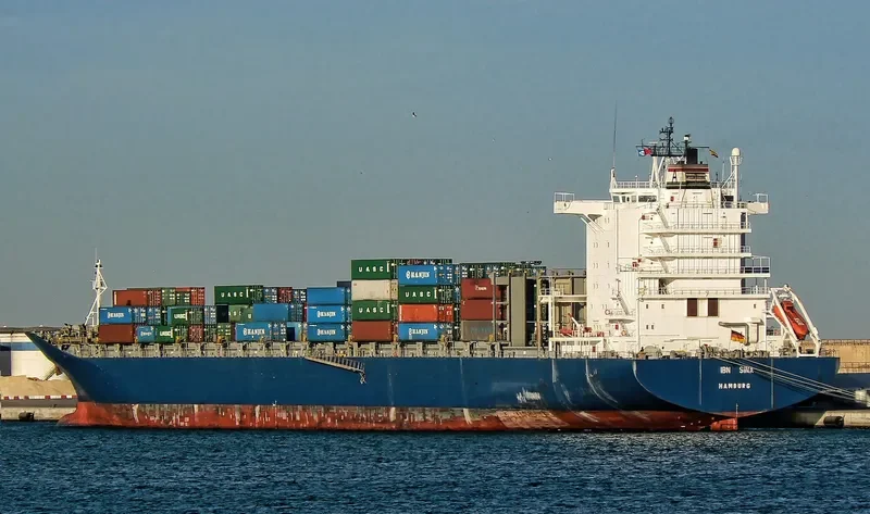 SINAH Container Ship IMO 9056088