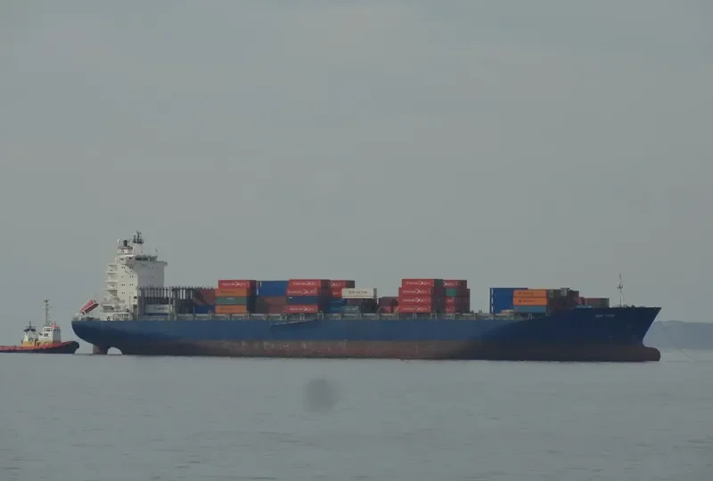 SINAH Container Ship IMO 9056088 photo 9