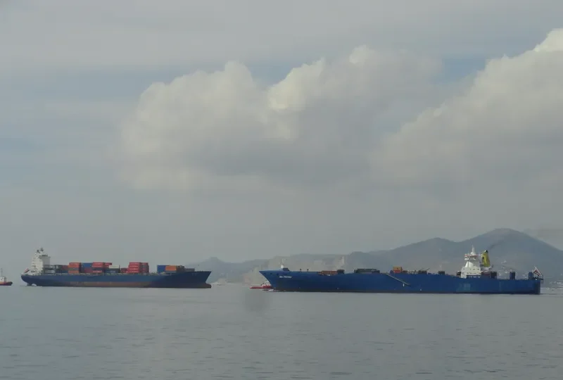 SINAH Container Ship IMO 9056088 photo 10