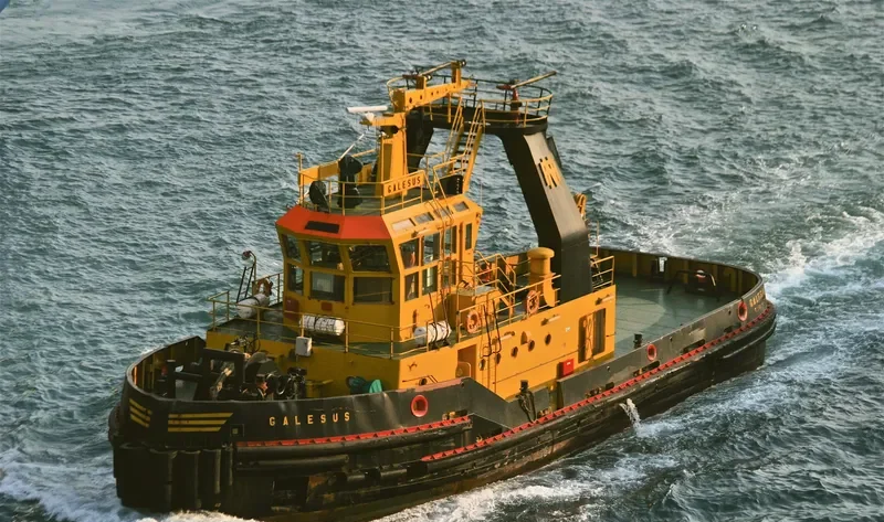 GALESUS General Cargo IMO 9056105 photo 4