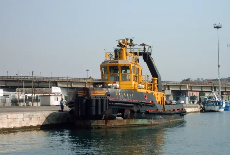GALESUS General Cargo IMO 9056105 photo 8