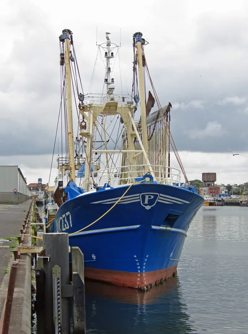 GRIETJE BOS General Cargo IMO 9056143 photo 7