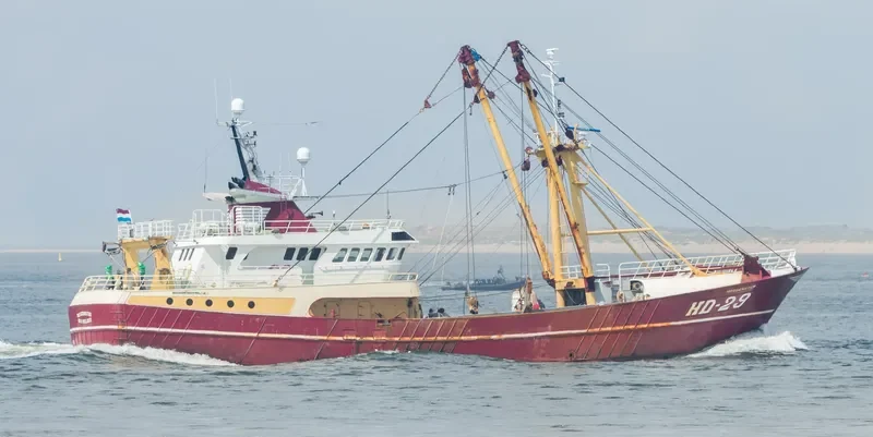 MORGENSTER General Cargo IMO 9056179