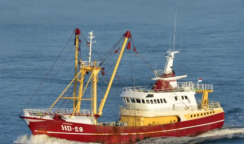 MORGENSTER General Cargo IMO 9056179 photo 2
