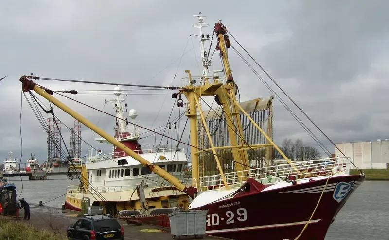 MORGENSTER General Cargo IMO 9056179 photo 3