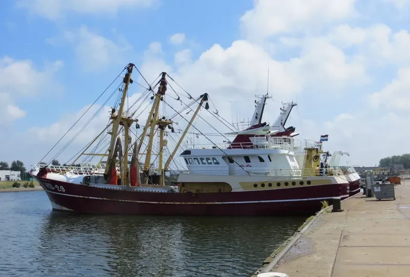 MORGENSTER General Cargo IMO 9056179 photo 6