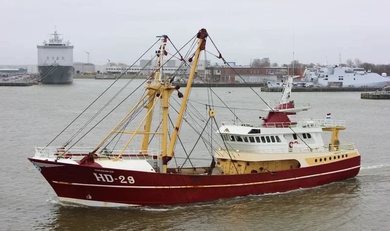 MORGENSTER General Cargo IMO 9056179 photo 8