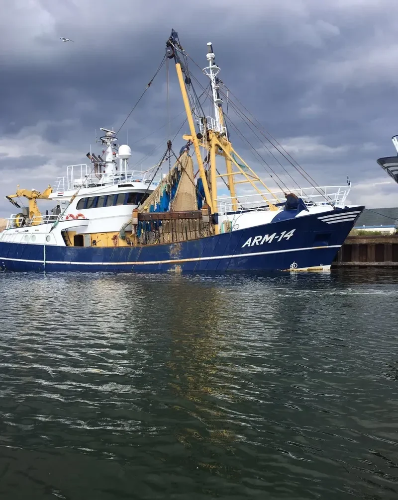 JELLE KORNELIS General Cargo IMO 9056181