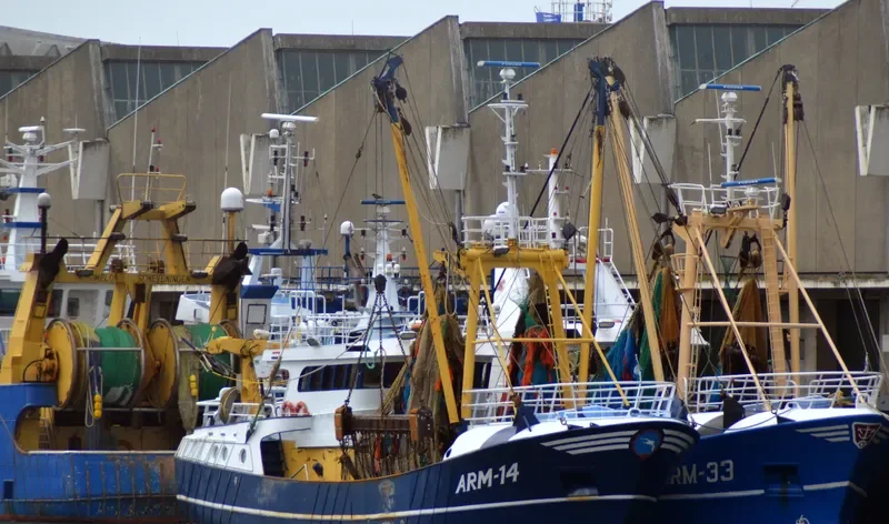 JELLE KORNELIS General Cargo IMO 9056181 photo 4