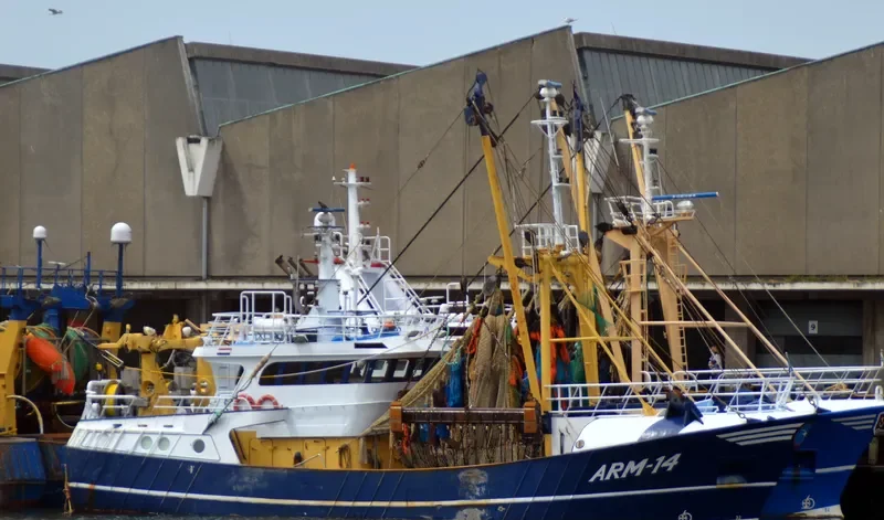 JELLE KORNELIS General Cargo IMO 9056181 photo 5