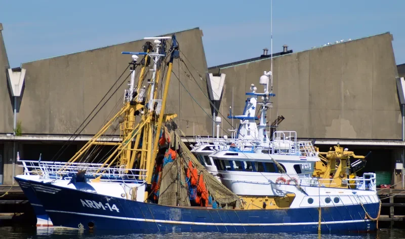 JELLE KORNELIS General Cargo IMO 9056181 photo 6