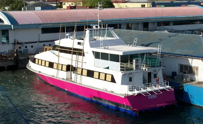 PENGUIN SUCCESS Passenger Ship IMO 9056210 photo 3