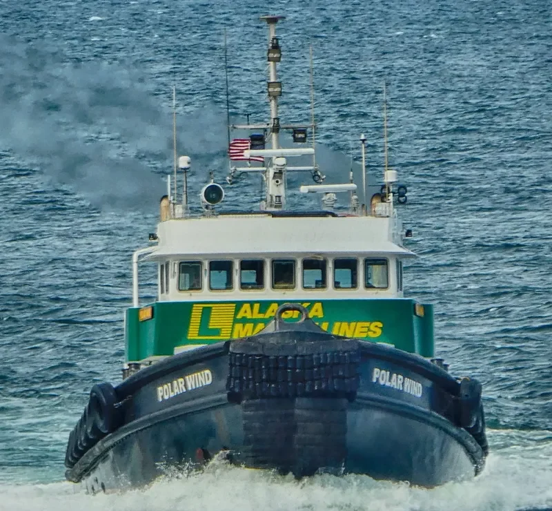 POLAR WIND General Cargo IMO 9056258 photo 3