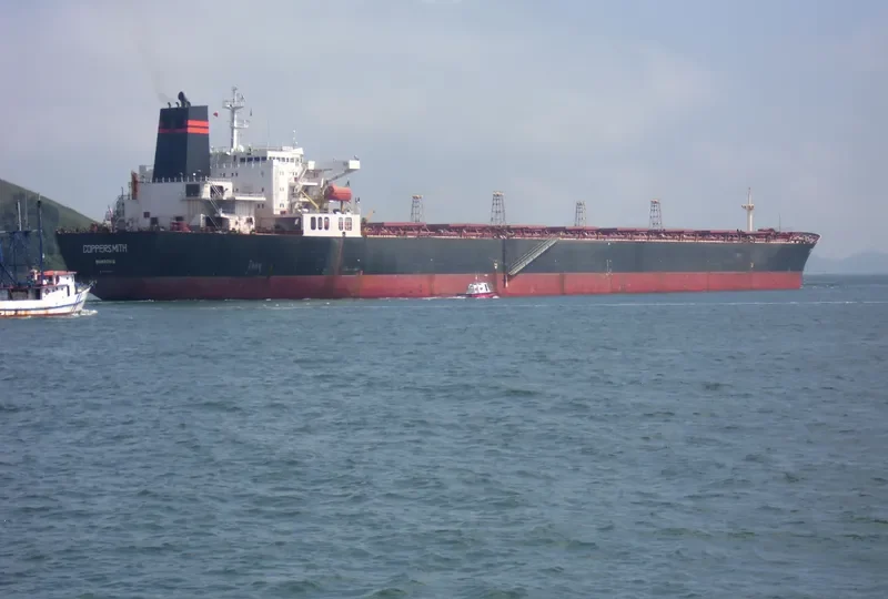 V COPPER SMITH Bulk Carrier IMO 9056260 photo 2