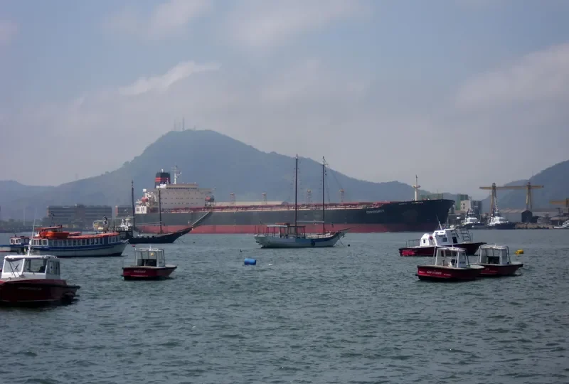 V COPPER SMITH Bulk Carrier IMO 9056260 photo 5