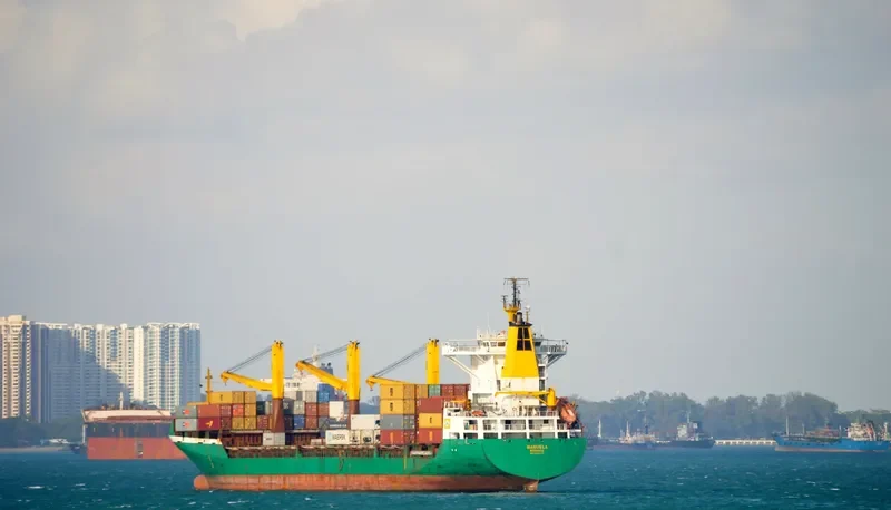 MANUELA Container Ship IMO 9056272