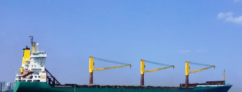 MANUELA Container Ship IMO 9056272 photo 2