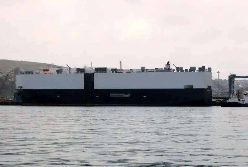 GEMINI LEADER General Cargo IMO 9056296 photo 5